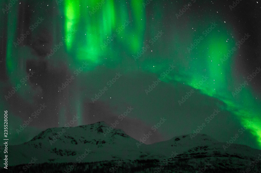 Snowy northern lights