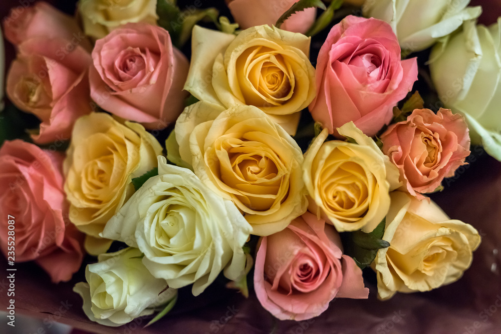Beautiful flowers of rose for bouquet closeup