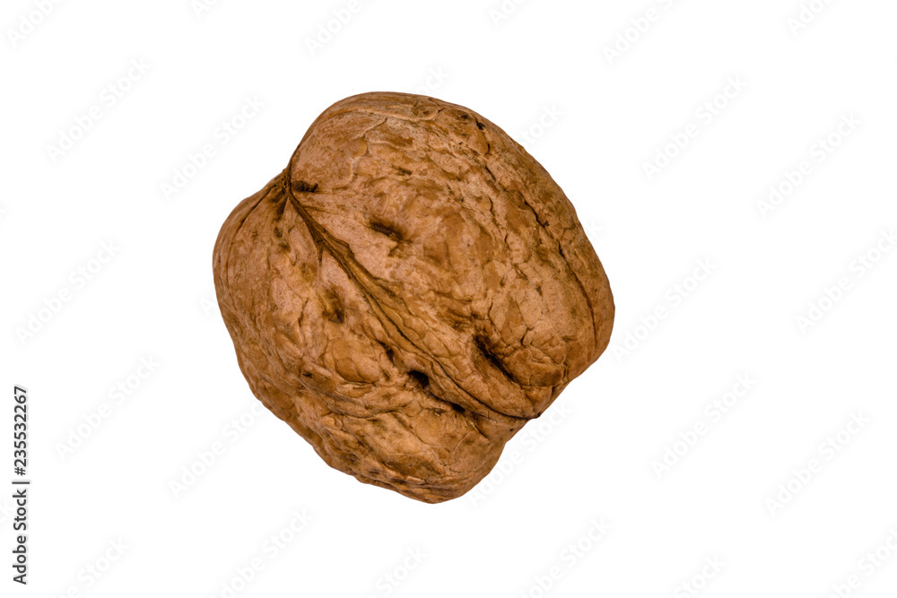 One walnut isolated on the white background One walnut isolated on the white background