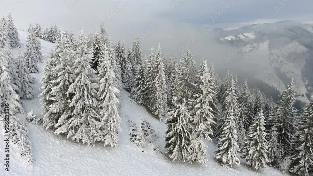 Flying around a frozen very beautiful trees. Winter tale. Flying around a frozen very beautiful trees. Winter tale.