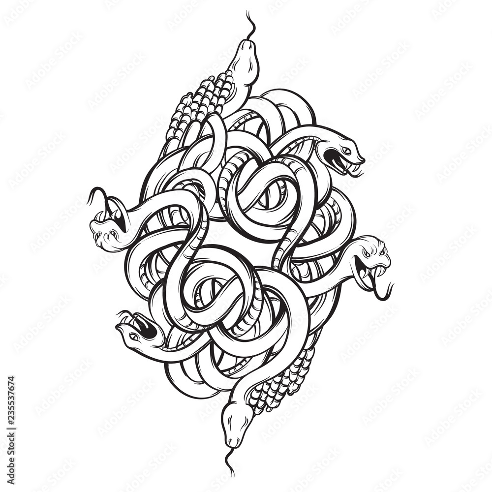 Fototapeta premium Vector hand drawn illustration with bunch of angry snakes. Artwork of rattlesnake in realistic line style. Template for postcard banner poster print for t-shirt