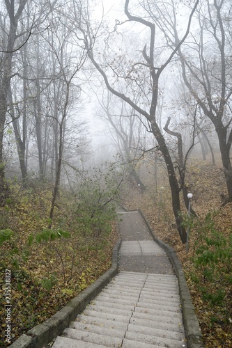 Empty old stairway in misty park. Serene depressed foggy landscape