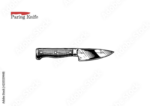 illustration of paring knife