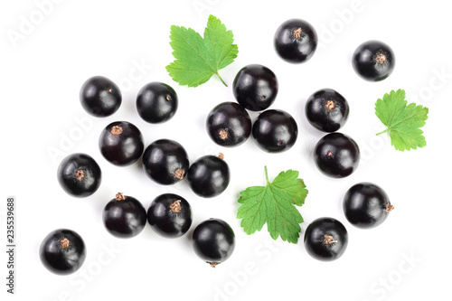 black currant with leaves isolated on white background. Top view. Flat lay pattern