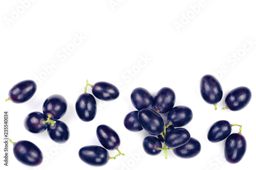 bue grapes isolated on the white background with copy space for your text. Top view. Flat lay pattern