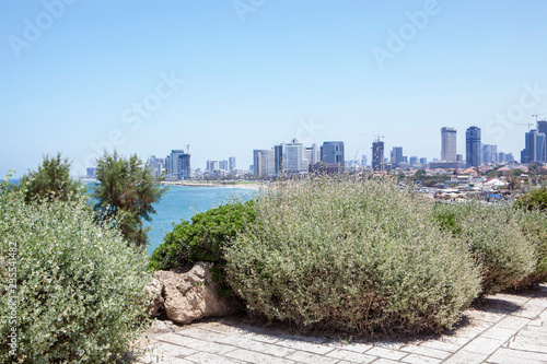 view of the city and the bay photo