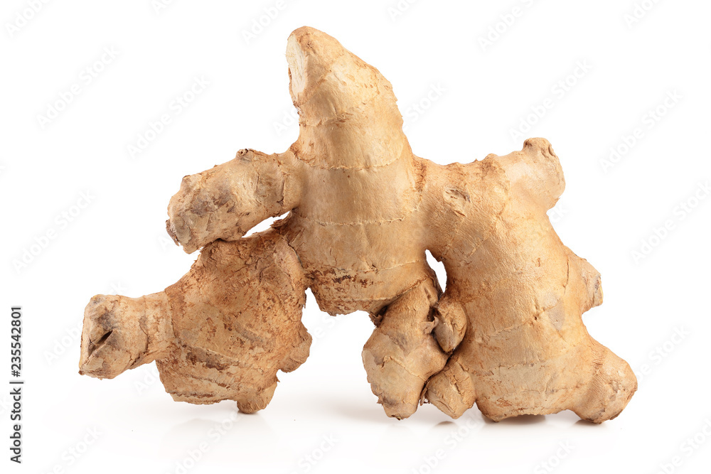 fresh Ginger root isolated on white background fresh Ginger root isolated on white background