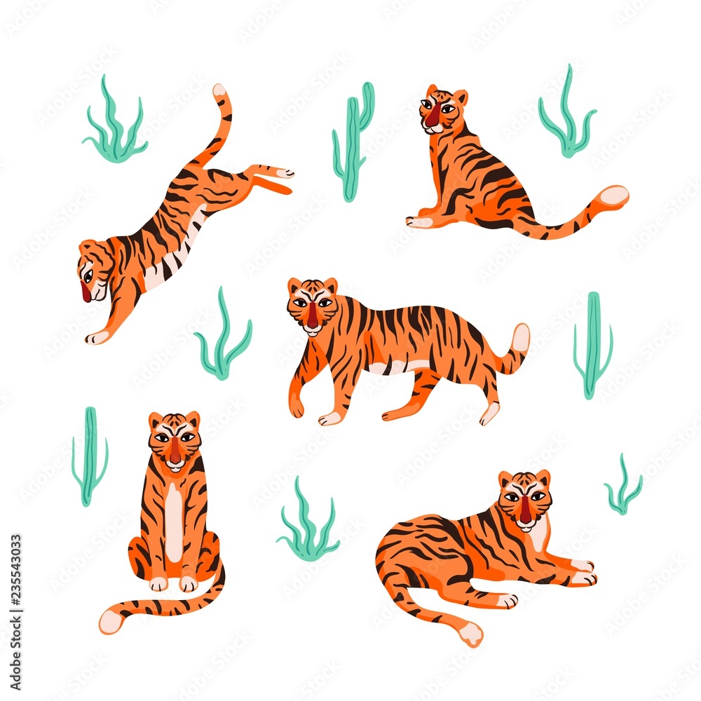 Set with tigers in different poses and tropical plants. Vector illustration.
