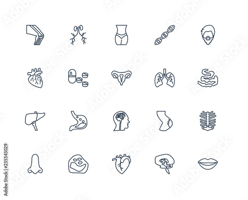 Big Lips, Small Intestine, Mustache curled tip variant, Dna, Mal
