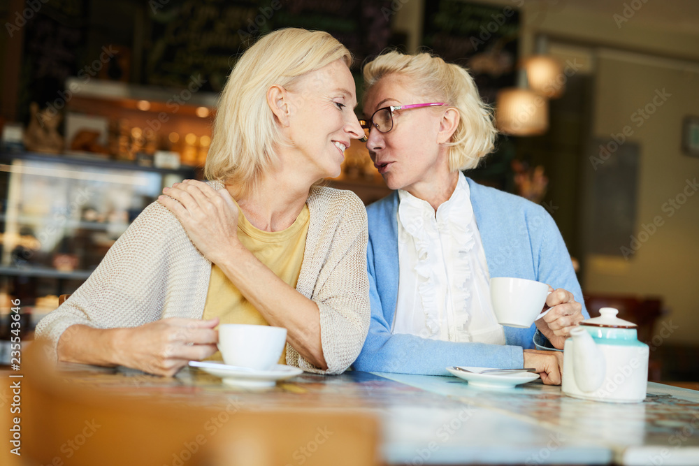 Two friendly blonde women gossipping by cup of tea while relaxing in cafe Two friendly blonde women gossipping by cup of tea while relaxing in cafe