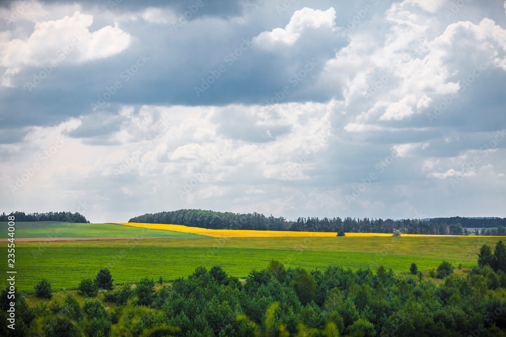 Obraz premium colorful fields under the blue sky