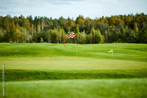 Flags on vast green field for playing golf with forest on background