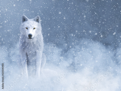 Fotografie, Obraz 3D rendering of a majestic white wolf in snow.