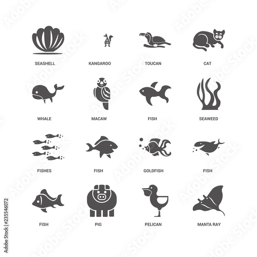 Fototapeta Naklejka Na Ścianę i Meble -  Manta ray, Seaweed, Fish, Seashell, Whale, Fishes, Pelican, Pig,