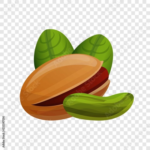 Pistachio icon. Cartoon of pistachio vector icon for web design  