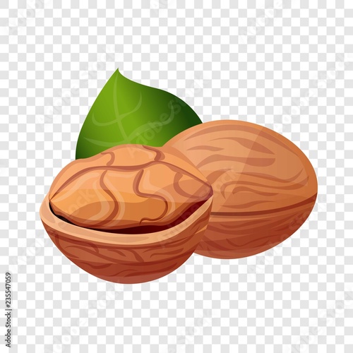 Eco walnut icon. Cartoon of eco walnut vector icon for web design  