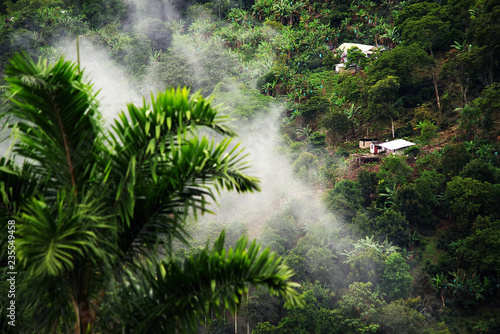 Misty landscape in Buenavista, Quindio, Colombia, South America
