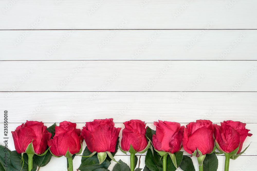 Border of red roses on white wooden background. Top view, copy space.