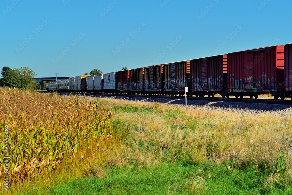 A freight train passing through agricultural country in rural Illinois. The color of the corn signals the oncoming of autumn on this sunny late summer afternoon. A freight train passing through agricultural country in rural Illinois. The color of the corn signals the oncoming of autumn on this sunny late summer afternoon.