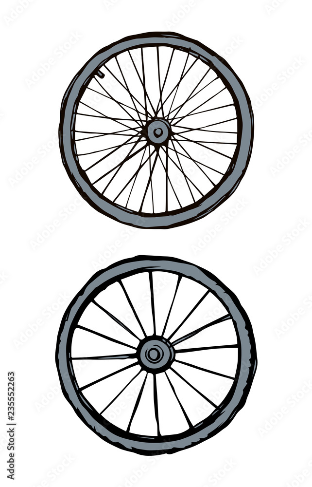 Fototapeta premium Tire. Vector drawing