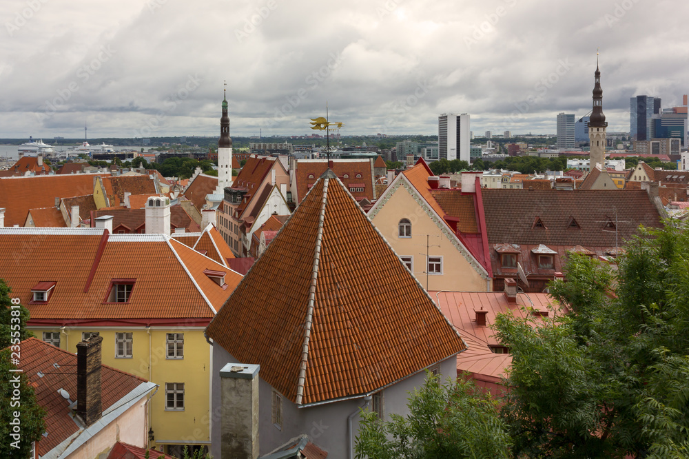 Tallinn Skyline in an Overcast Day