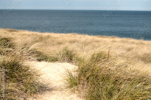 Dune Pathway 