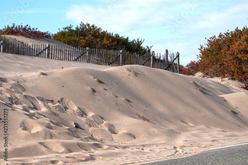 Sand Dune