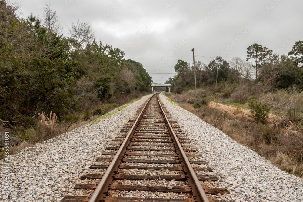 railway in forest railway in forest
