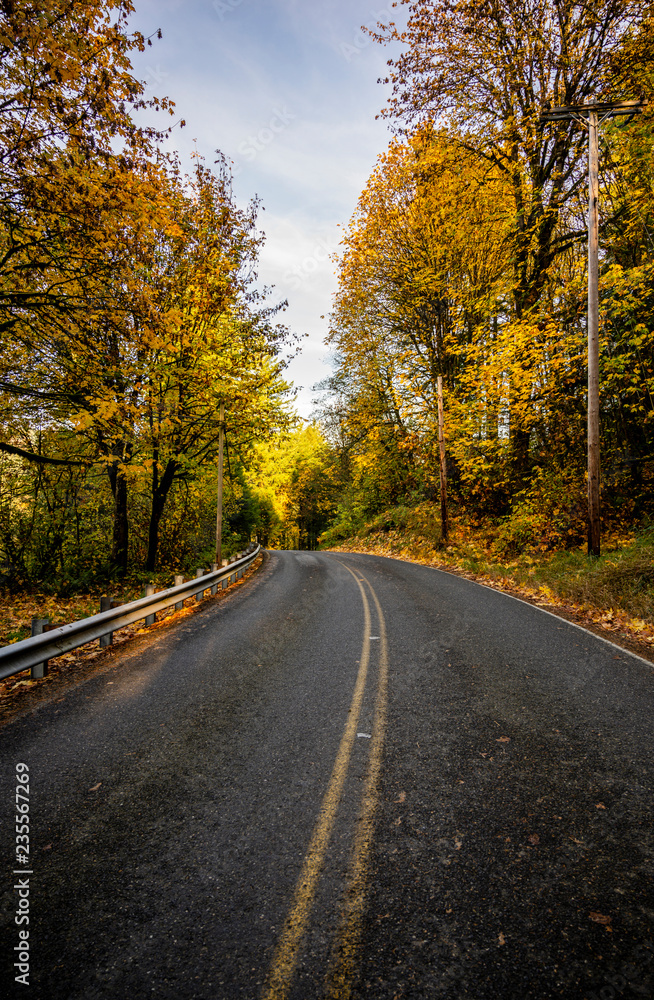 Winding road along autumn forest