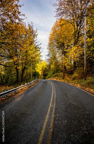 Winding road along autumn forest