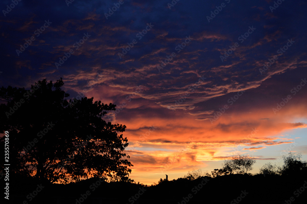 silhouette tree amazing cloud sky sunset / orange dark storm scary dramatic clouds