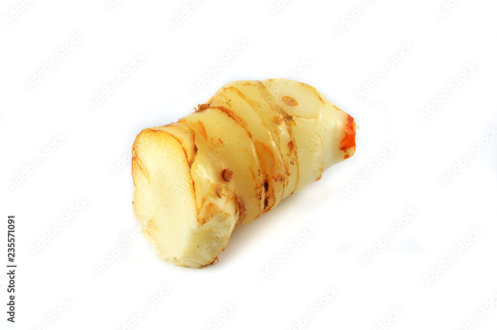 fresh galangal isolated / herb of young galangal ingredients thai spicy food fresh galangal isolated / herb of young galangal ingredients thai spicy food