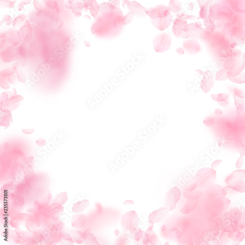 Fototapeta Naklejka Na Ścianę i Meble -  Sakura petals falling down. Romantic pink flowers 