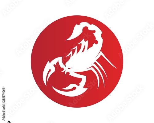 Scorpion Logo Template Vetor illustration