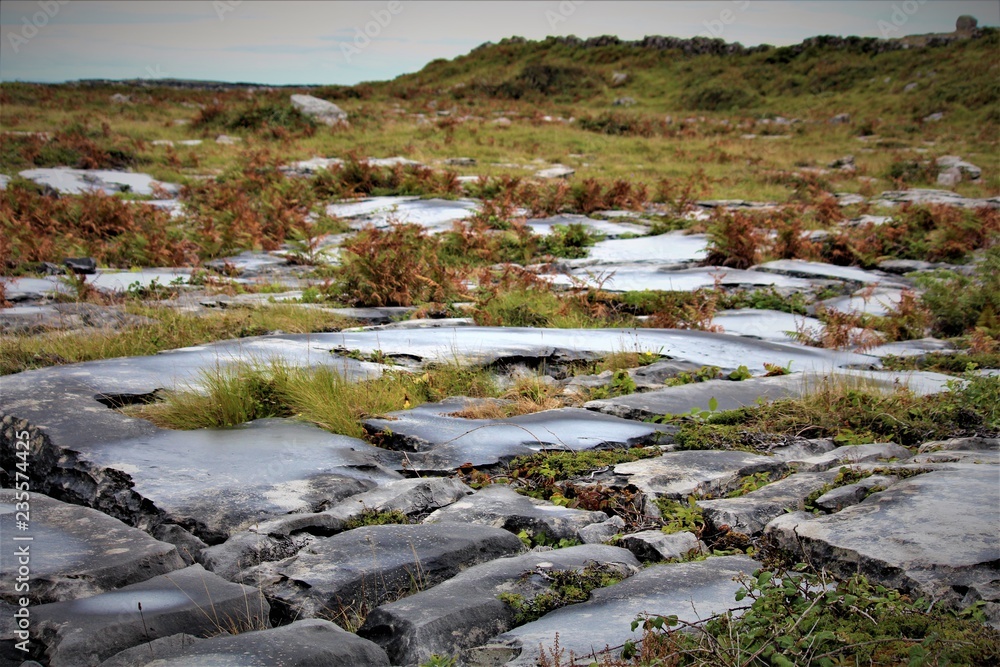 The Burren In Ireland Is A Barren Landscape Created By Glaciers Stock ...