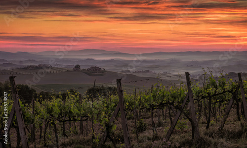 Sunrise over a vineyard in Tuscany, Italy with fog settling in the low lying areas