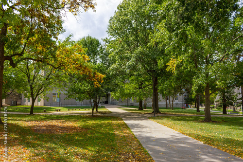 Autumn's Walk #2