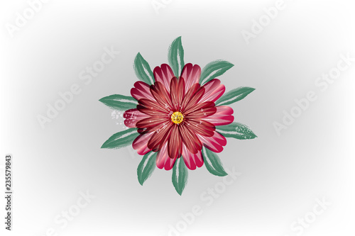Fototapeta Naklejka Na Ścianę i Meble -  Red watercolor flower vector