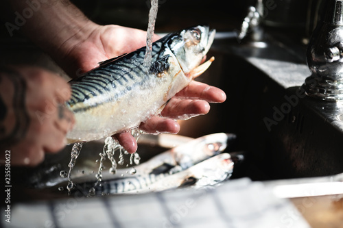 Fresh mackerels washed under running water
