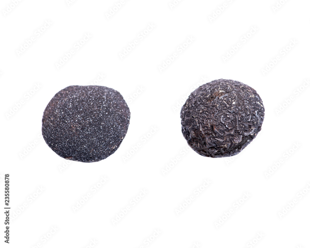 Fototapeta premium Set of concretion stones from southwest Kansas, USA. Kansas Pop Rocks isolated on white background. Contains a male (crystallized) and female (smooth) stone. 