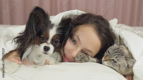 Happy teen girl communicates with dog Papillon and Thai cat in bed