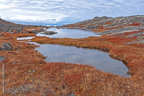 Fototapeta Naklejka Na Ścianę i Meble -  Tundra Ponds in the High Arctic