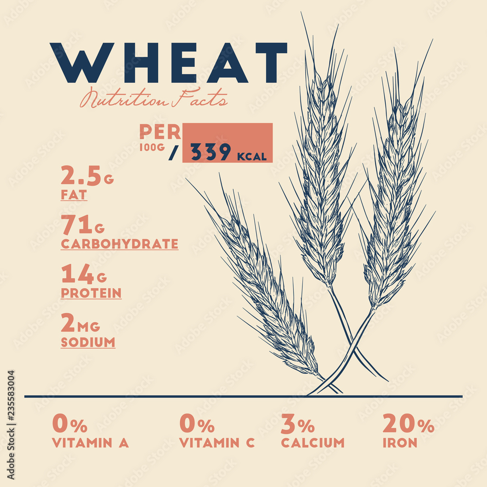 Health benefits of wheat . Nutrition facts. Stock Vector Adobe Stock