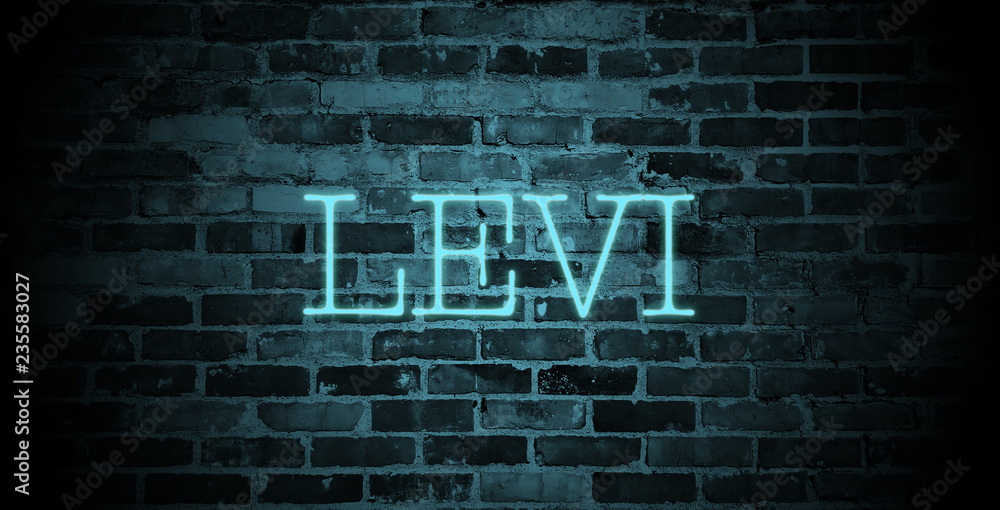 first name Levi in blue neon on brick wall Stock Illustration | Adobe Stock