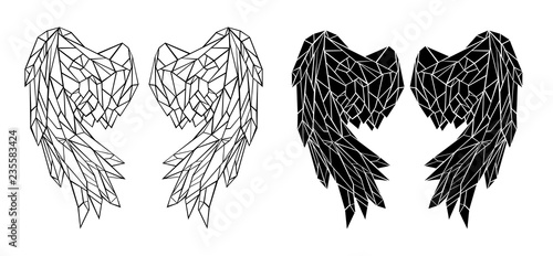 Polygonal folded wings