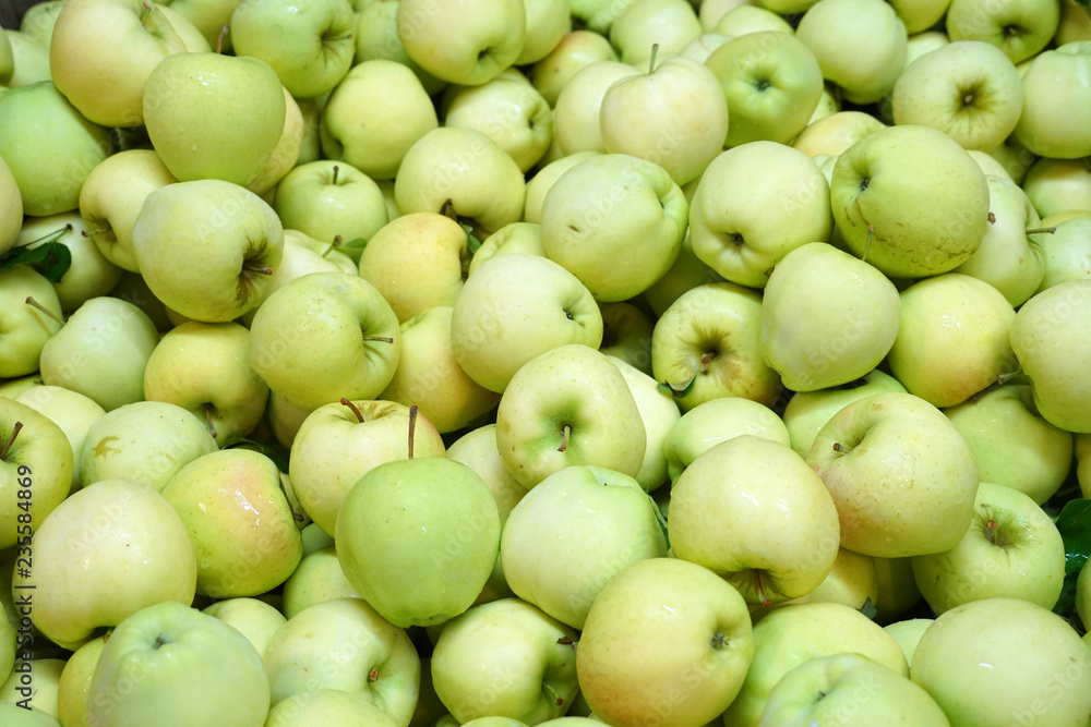 Fresh picked green apples background in the harvest season Fresh picked green apples background in the harvest season