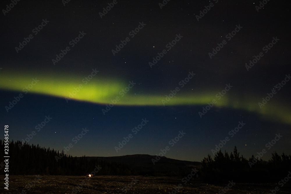 Aurora Borealis in Denali National Park Alaska