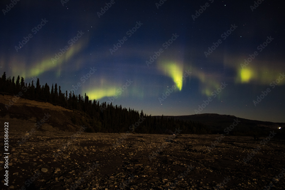 Aurora Borealis in Denali National Park Alaska