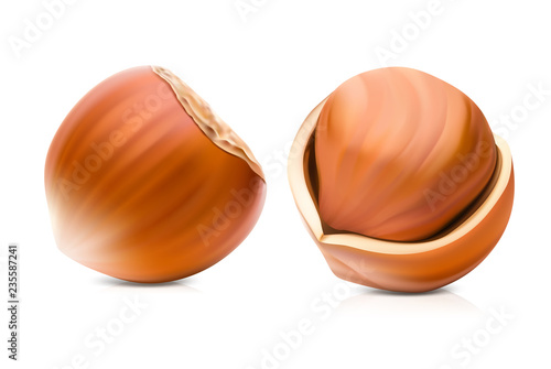 Realistic hazelnuts isolated on white background. Ready for your design. Vector illustration. EPS10.