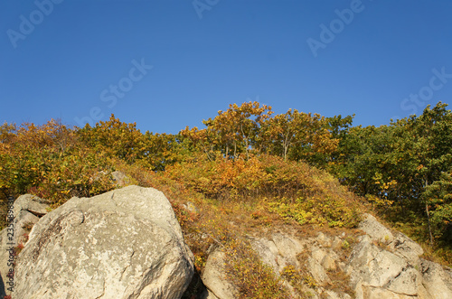 Landscape with mountains covered with plants in autumn.